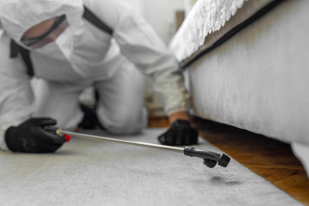 Professional Bed Bug Control technician working in Fayette County County, IL